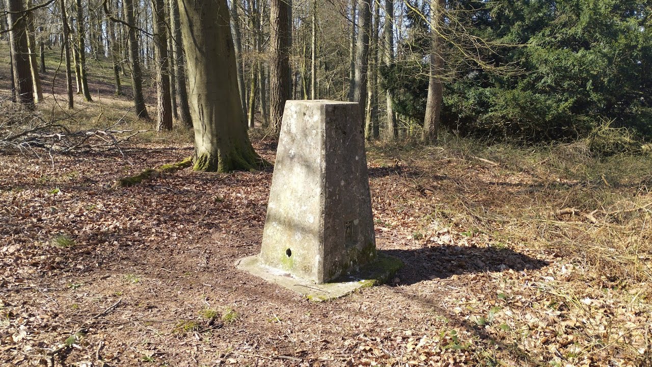 Herefordshire walks : Weobley-Garnstone Wood-Burton Hill 18/03/2025