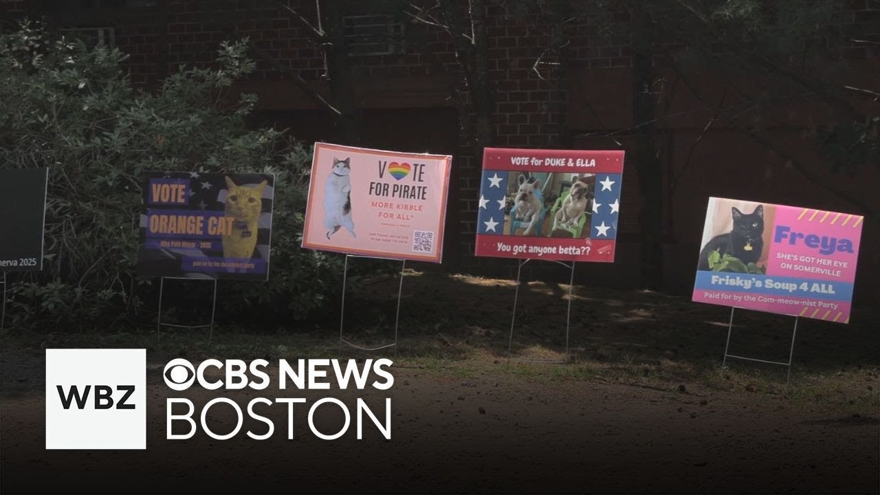 Crowded field as neighborhood pets run for mayor of Somerville bike path