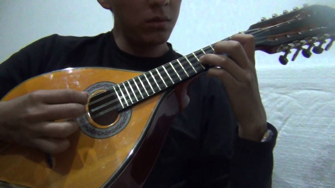 tuna - don quijote mandolina