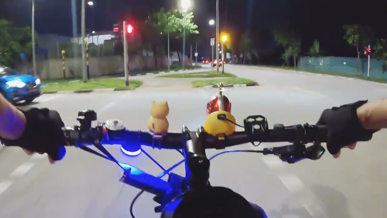 PART 9 ROAD TRIP TO PUNGGOL  | SINGAPORE VIEW | OFW |  COLOBZ TV 