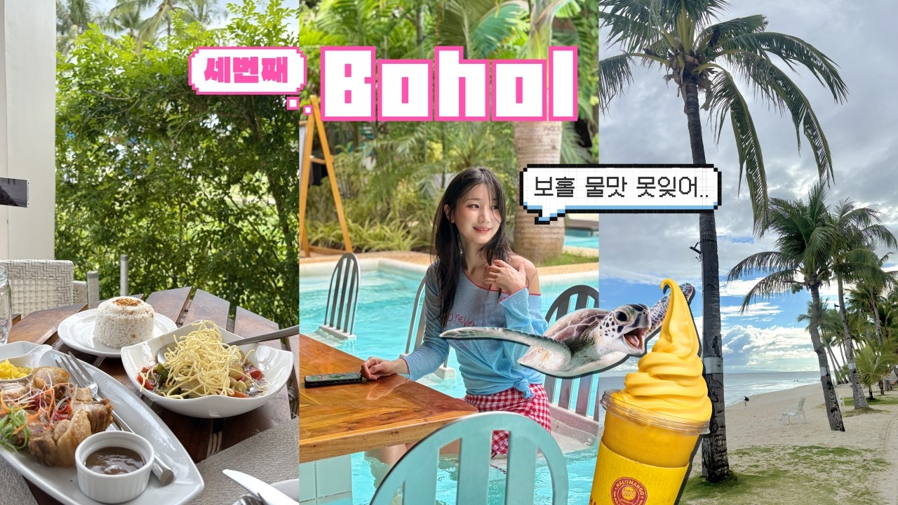 겨울에 간 보홀🌴 | 개미와 함께한 아미한 | 삼일 내내 비맞아도 좋았던 겨울의 보홀 Vlog✨