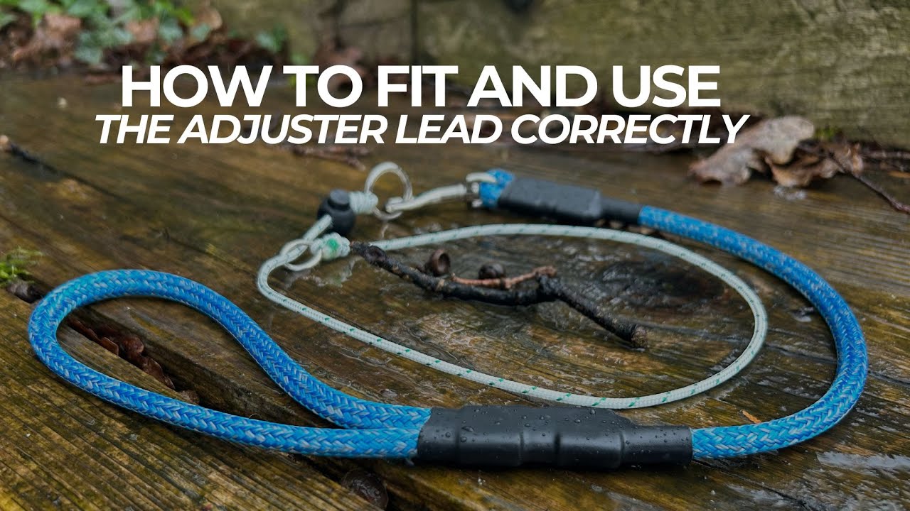 How To Fit And Use The Adjuster Lead Correctly | The Dog Therapist
