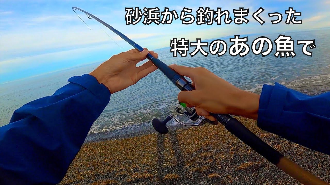 サーフで爆釣した魚で保存食作ったら、旨すぎてただの飯テロ動画になった【車中泊釣り旅北海道編・第5話】