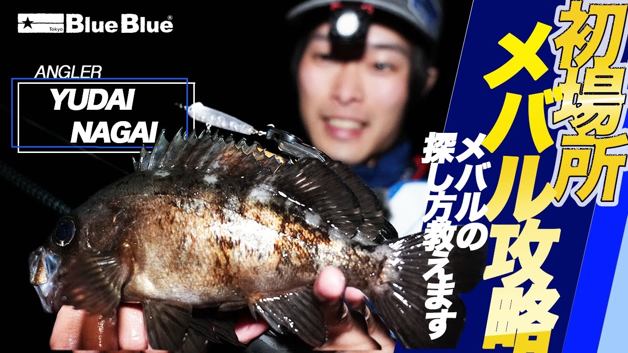 必見！初場所でのメバルの探し方！永井雄大の遠征釣行。