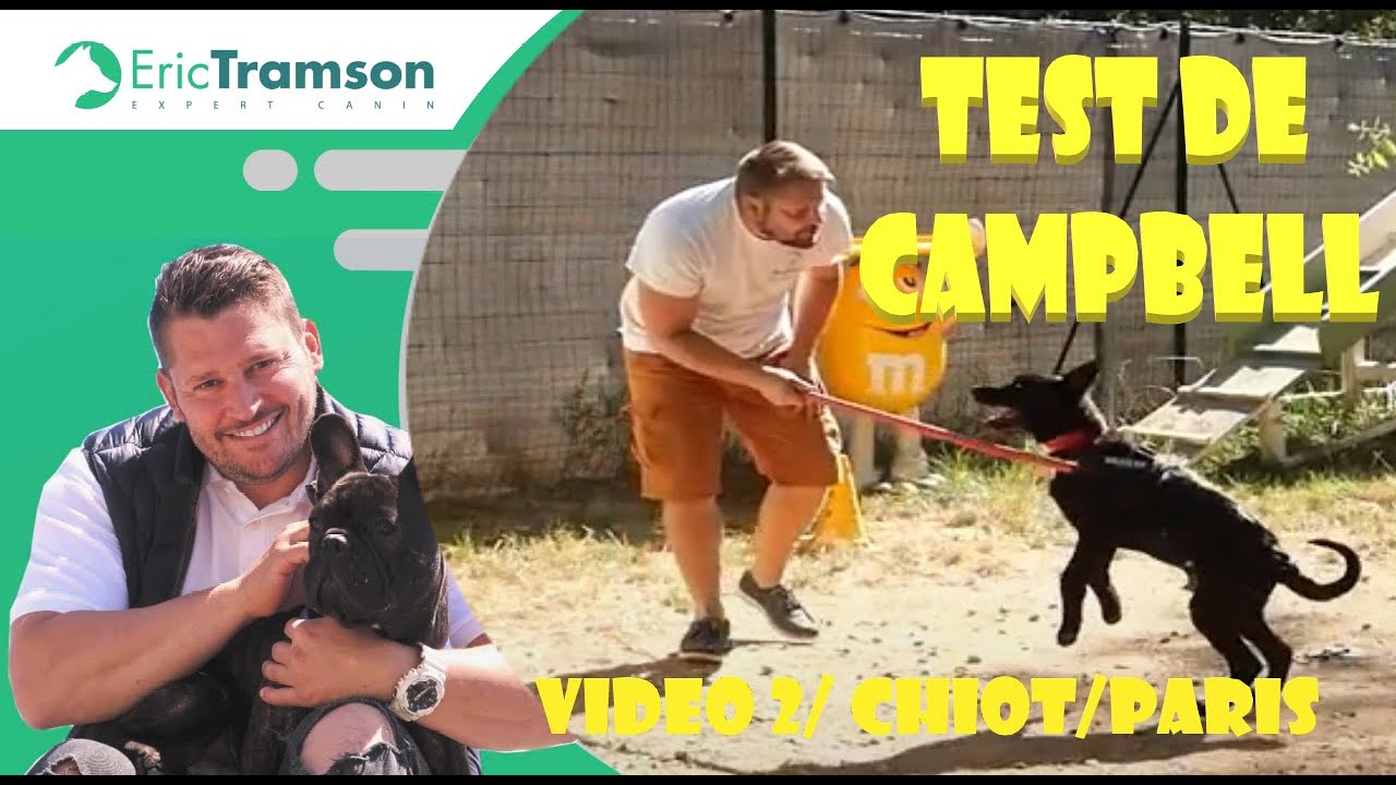 TEST DE CAMPBELL POUR LE CHIOT C'EST QUOI ?