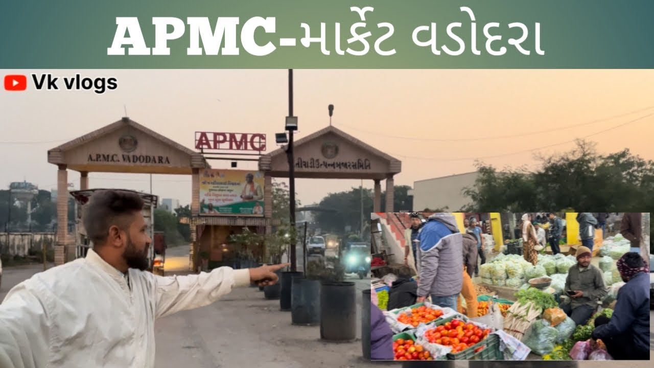 APMC માર્કેટ વડોદરા.🍅🍆🥒Vk vlogs.