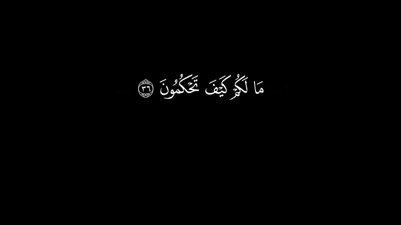 surah al qalam  yasser al dossari black screen arabic