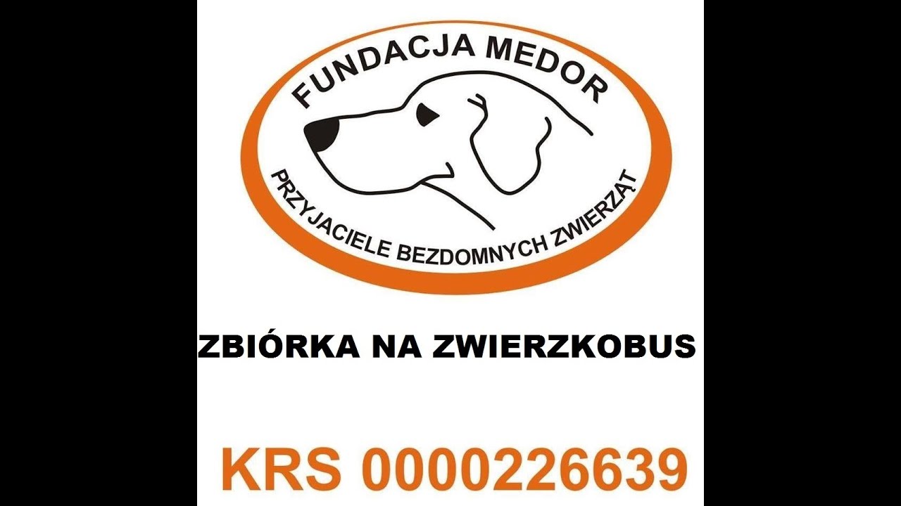 Zbiórka na Zwierzakobus