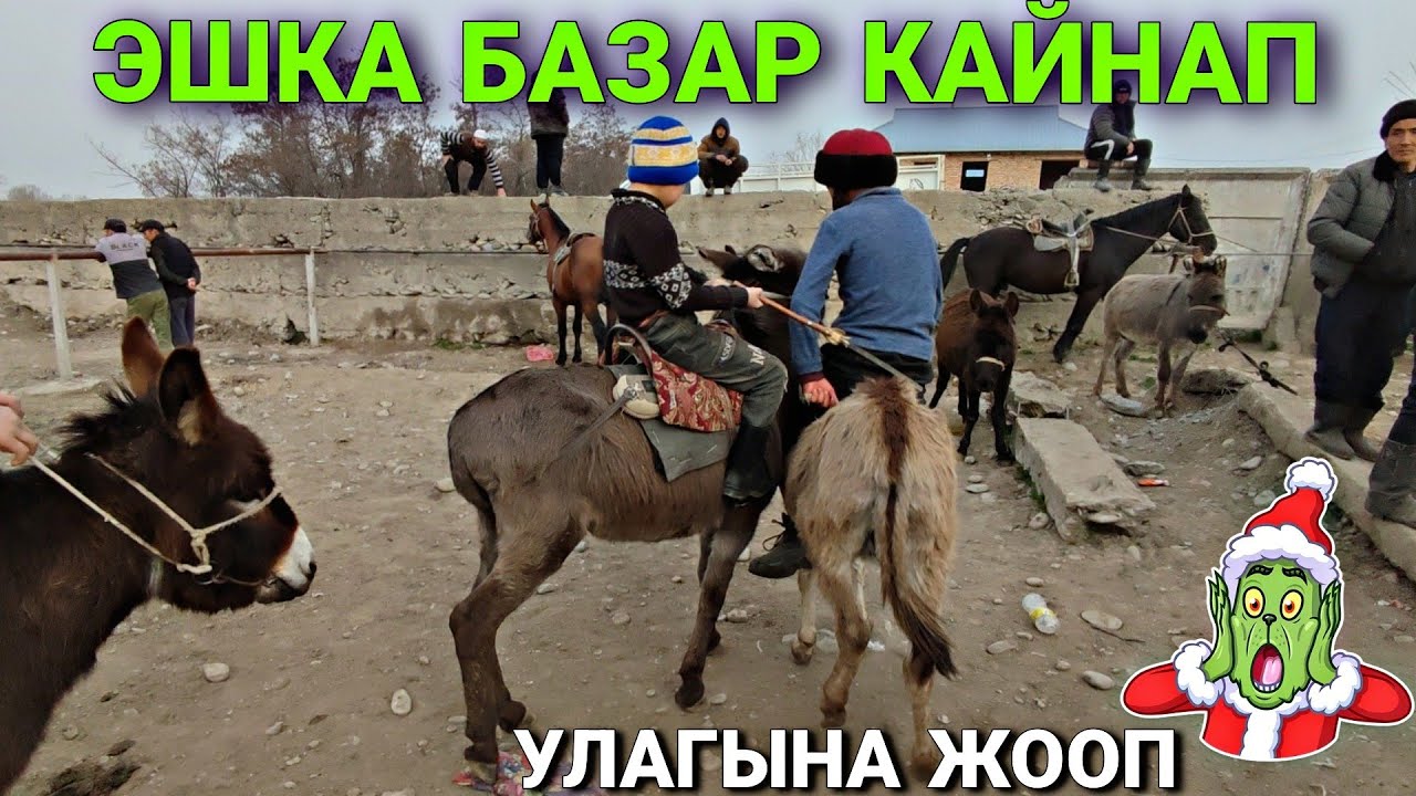 Эшка базар КЫЗЫДЫГО ЧИРКИН 🤯
