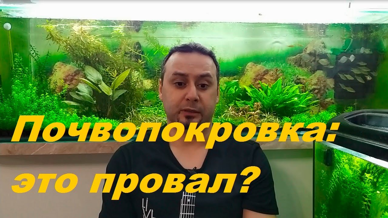 Игры с почвопокровкой