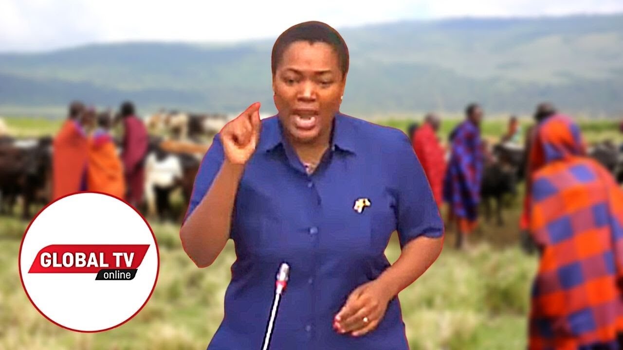 MVUTANO MKALI BUNGENI SAKATA LA Ngorongoro - 
