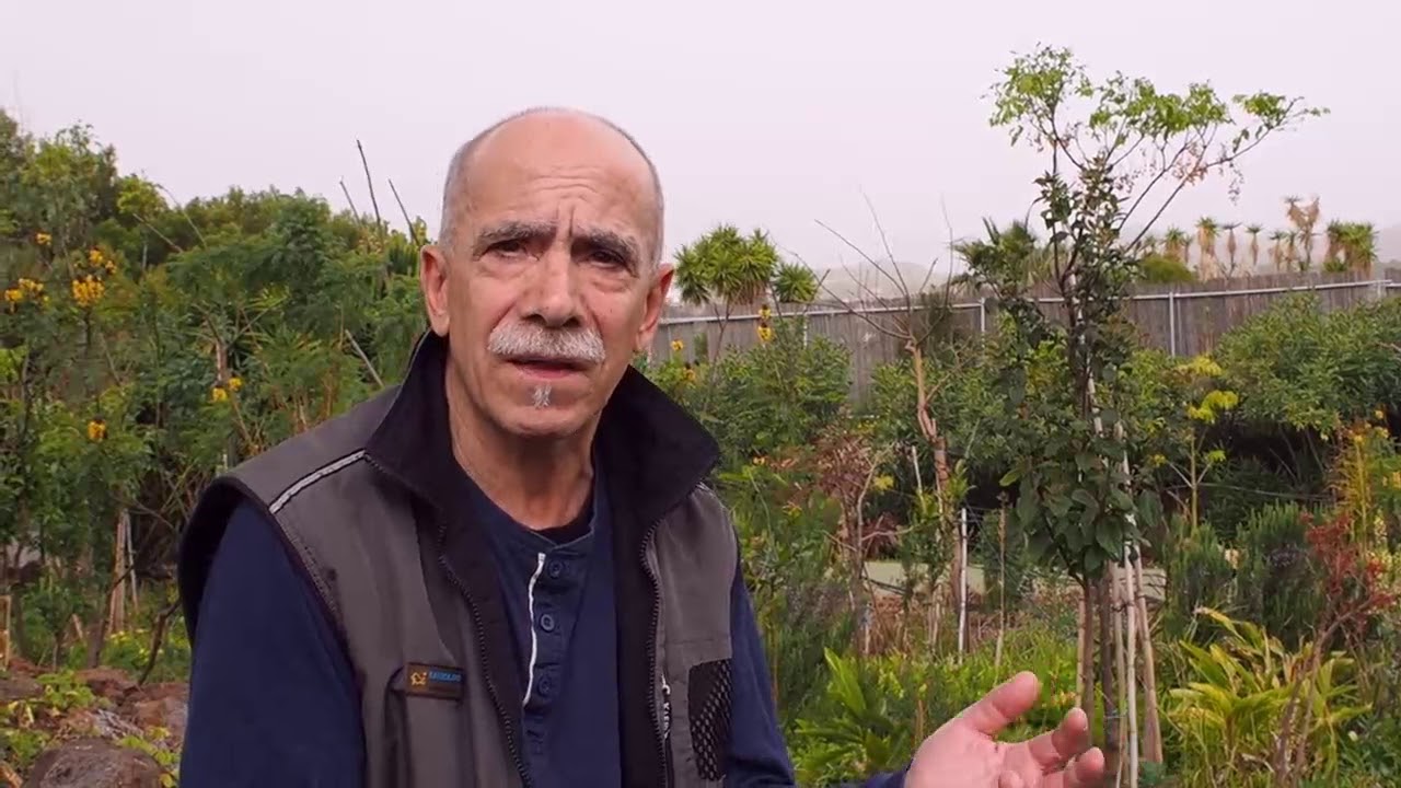 Juan A. Hdez: “Bosque productivo y comestible”. Asociación Domitila Hdez. El Tablero-Tenerife