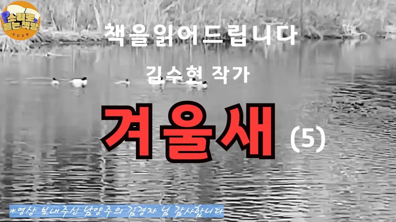 [장편소설오디오북] 겨울새(5) / 김수현작가 /