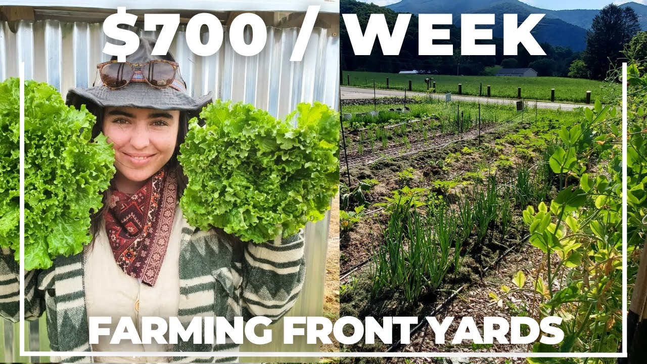 $700/Week Farming Front Yards (Not What You Think)