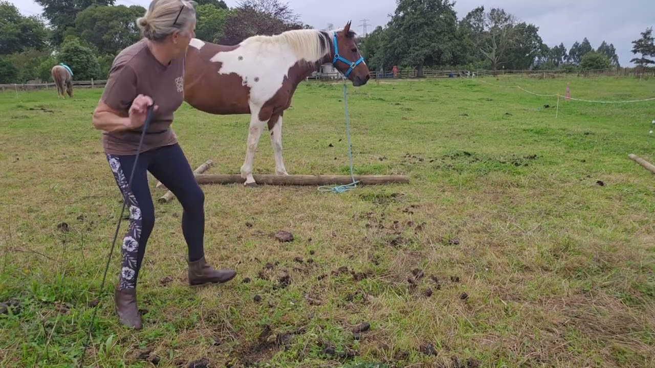 Classical Bow/Forward stretch.   Early training.  Dakota