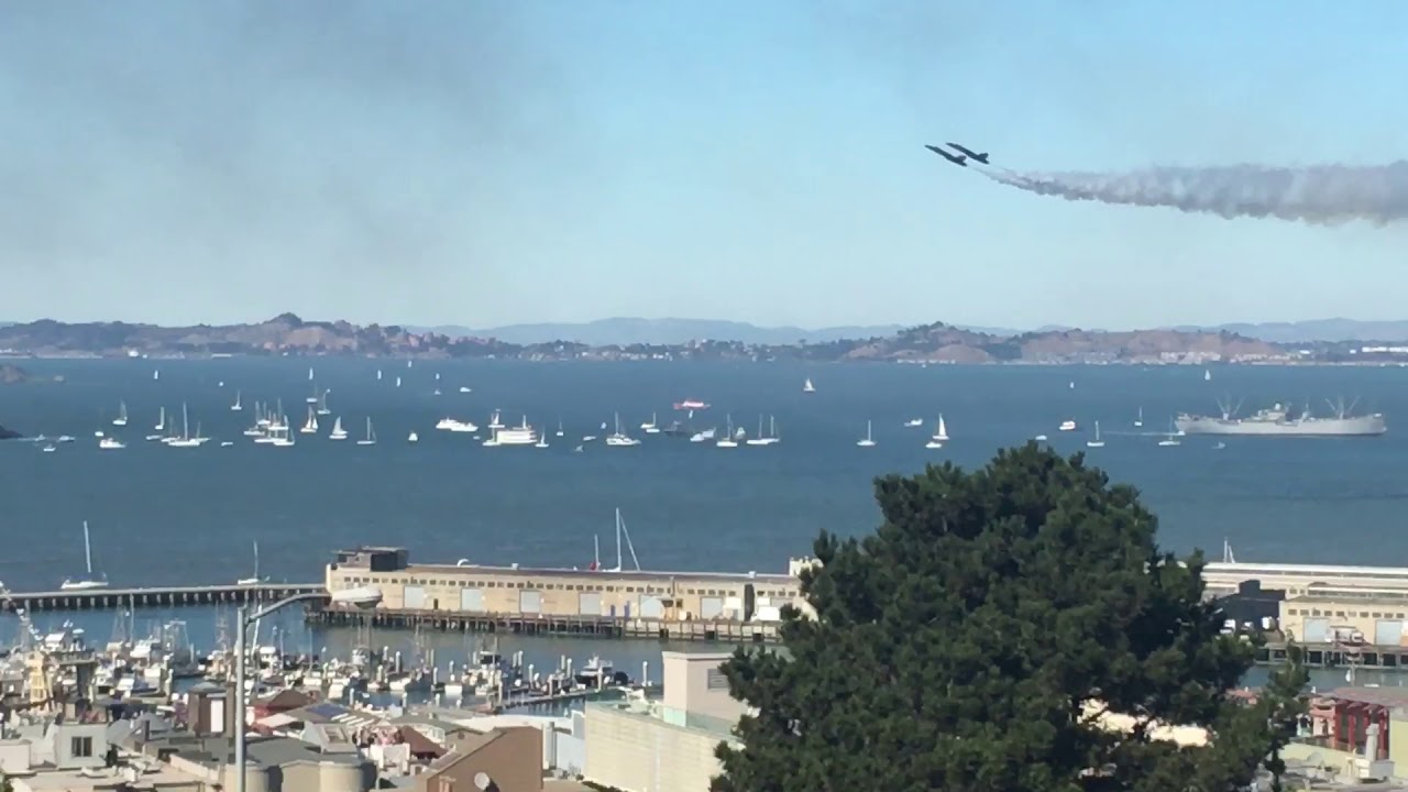 Sf blue fleet