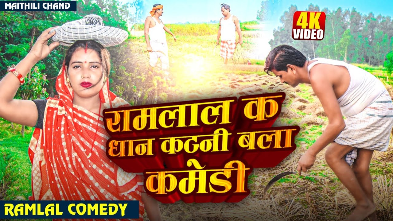 Ramlal Comedy 2024 रामलाल क धान कटनी बला कमेडी // Ramlal maithili comedy // #ramlalcomedy#ramlal