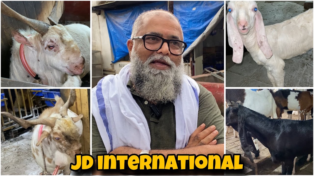 JD INTERNATIONAL and Breeding Setup | Reason behind making JD international