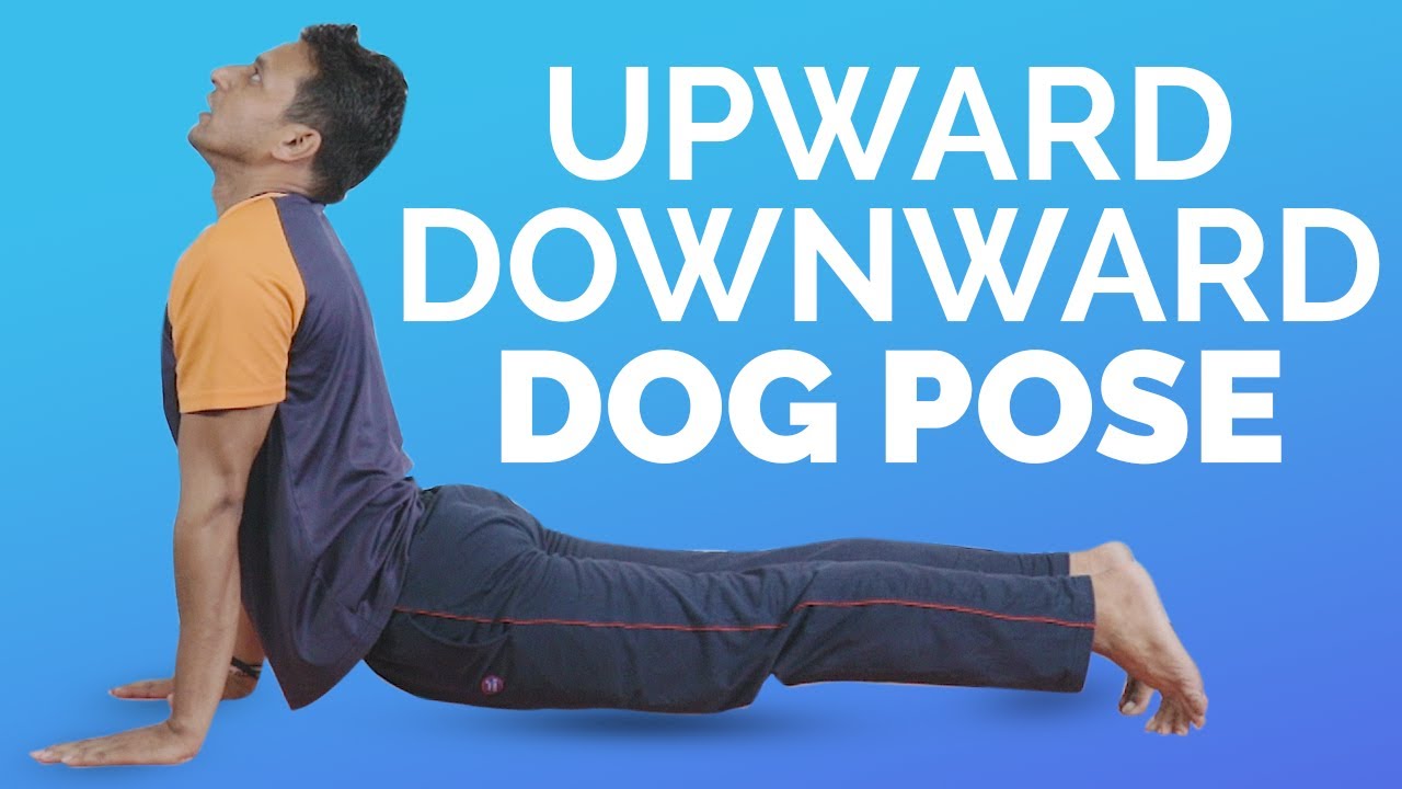 How to do Upward Dog & Downward Dog for Beginners | Benefits | Yog4Lyf