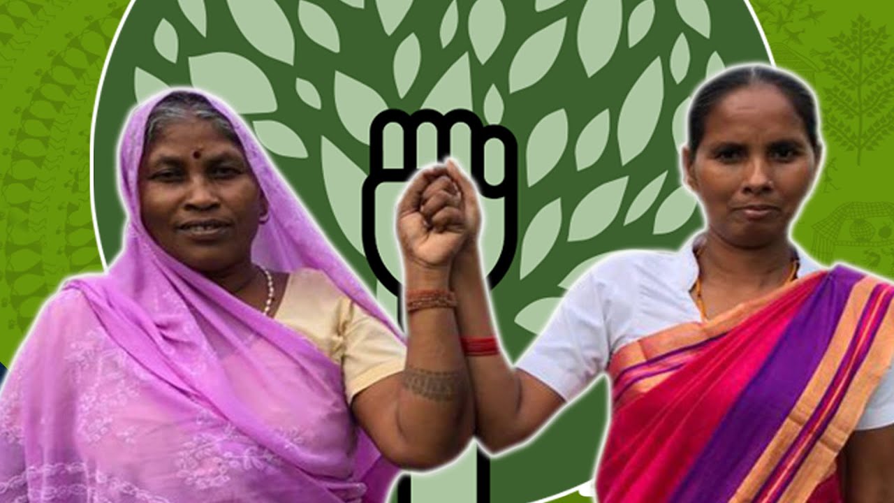 Join CJP's fight to protect the rights of forest working people