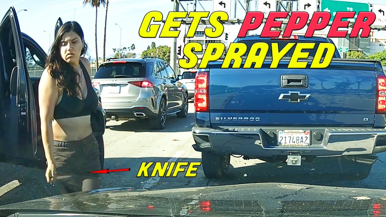 ЛУЧШЕЕ ИЗ ROAD RAGE | Сборник из США и Канады | НОЯБРЬ 2024