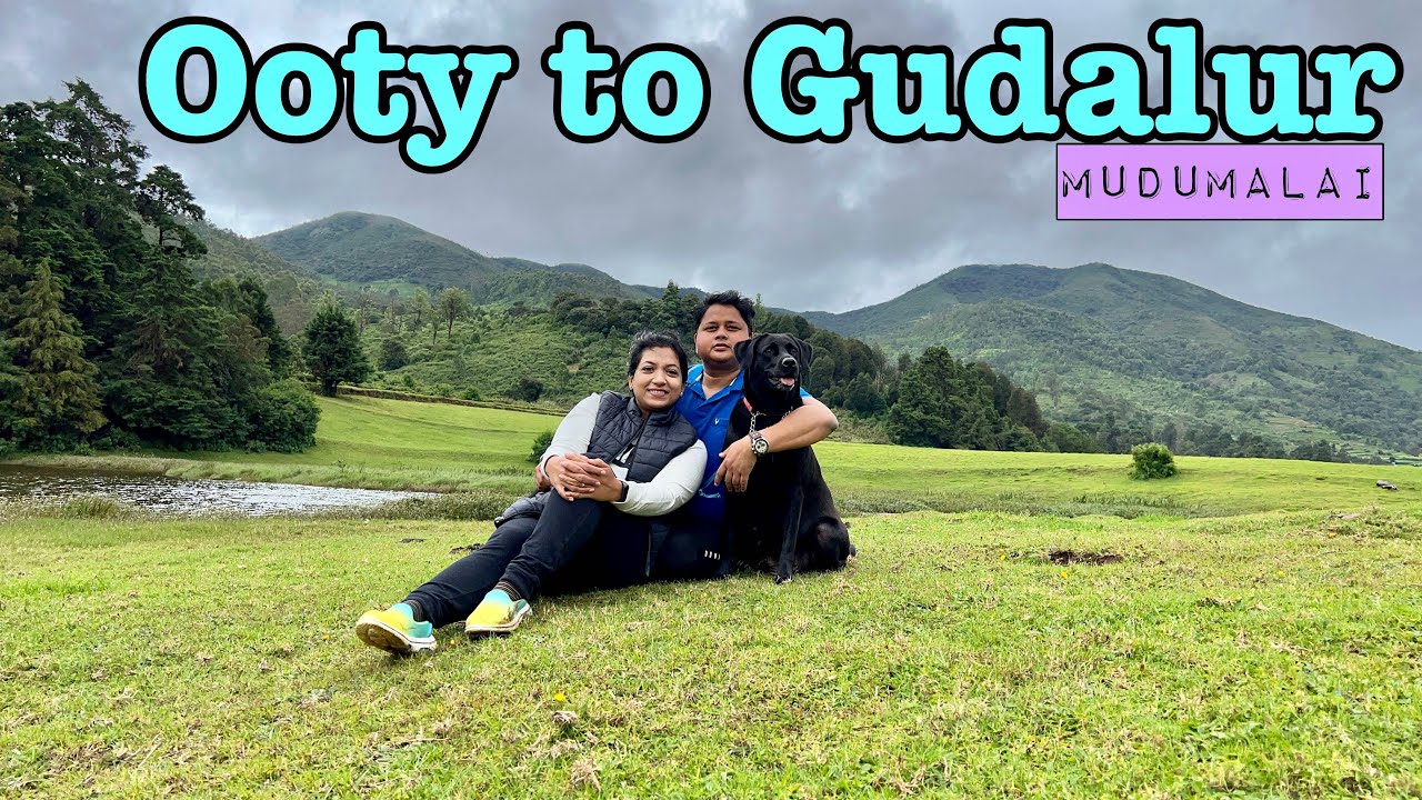 RoadTrip to Ooty | EP 05: Ooty to Gudalur (Mudumalai) | Roving Couple | Weekend Getaway