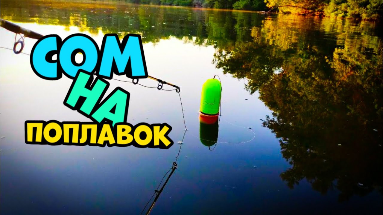 Ловля СОМА на ПОПЛАВОК.  Готовлю ПЛОВ на КОСТРЕ..