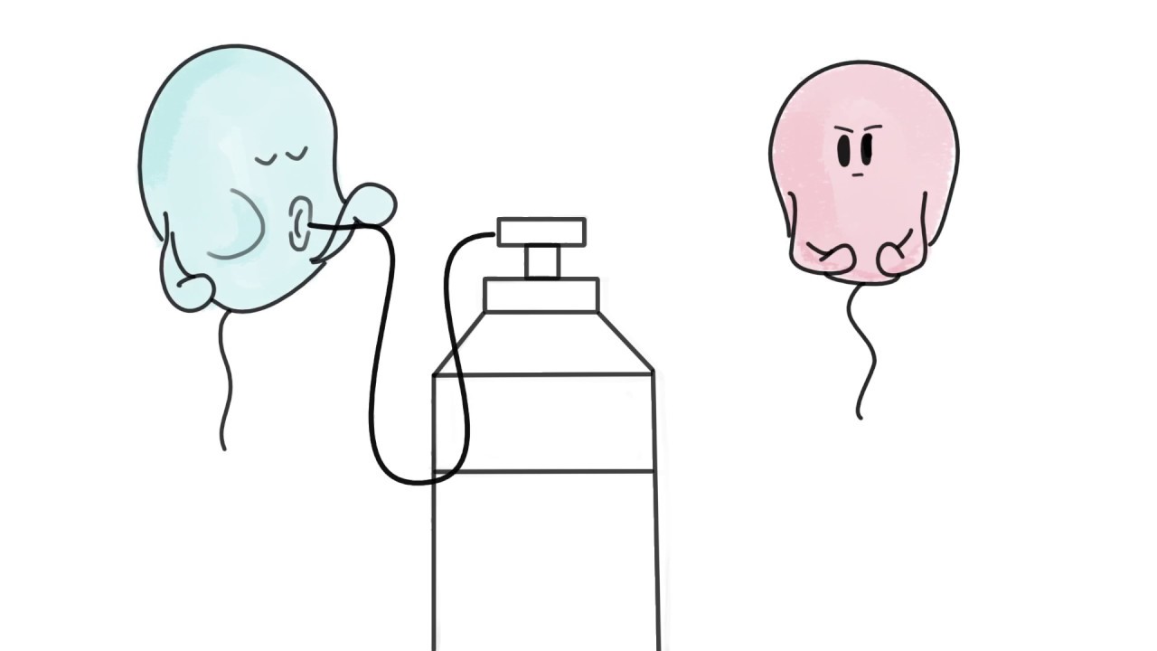 HELIUM | short 2D animation