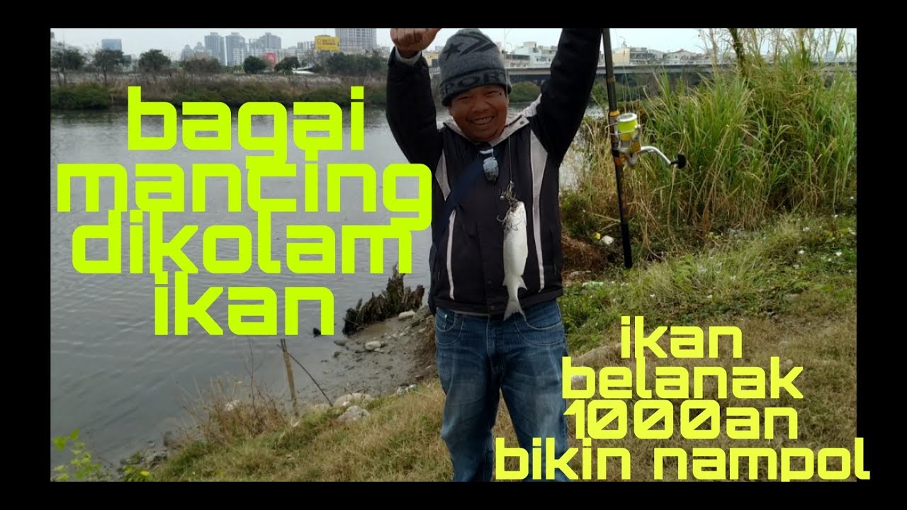 Trik mata kail ikan belanak cara garong