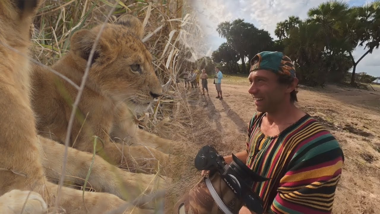 Safari z Zanzibaru w otoczeniu Lwów