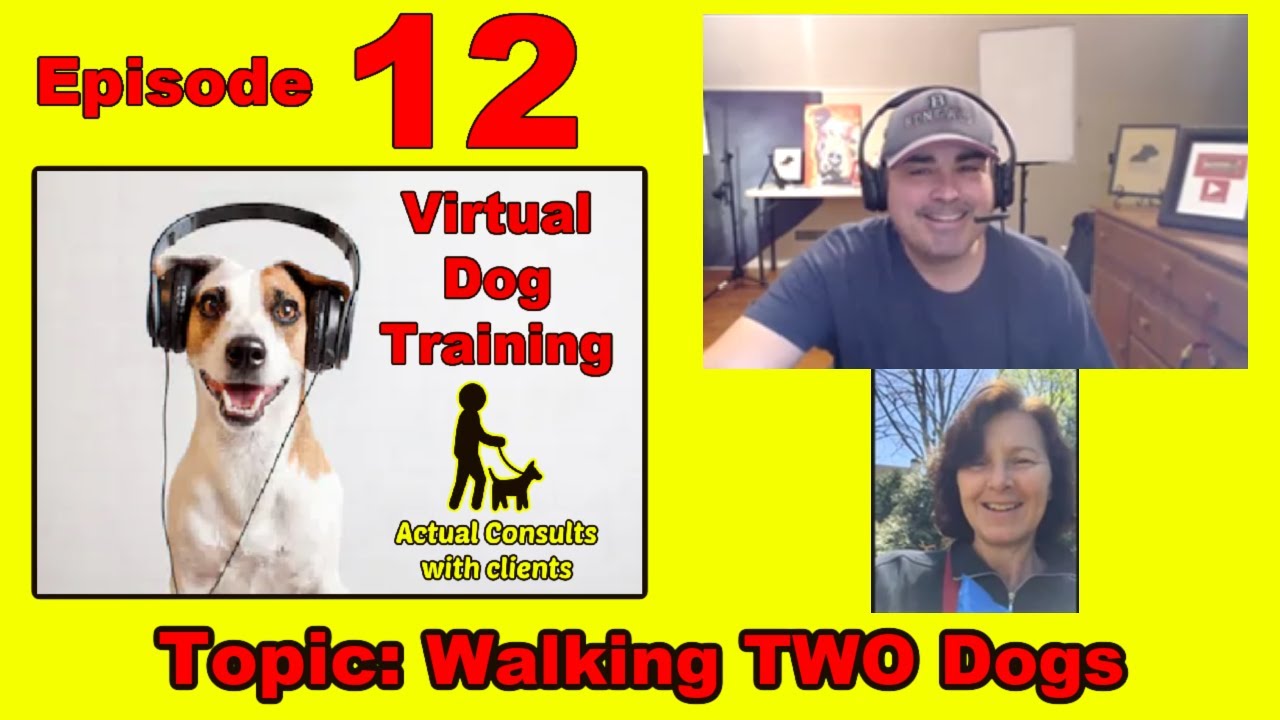 Ep.12 -Virtual Dog Training. Leash walking two dogs at the same time