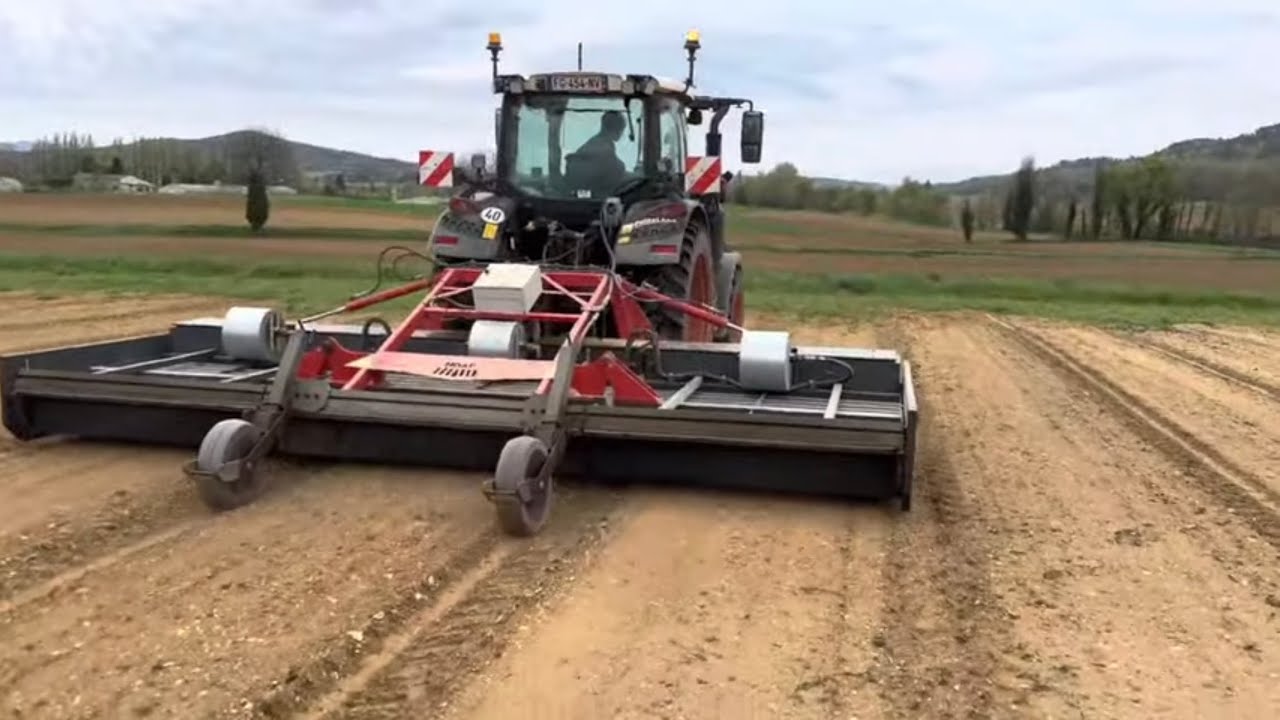 Vidéo avril jour 12 : on brûle l’herbe dans le persil
