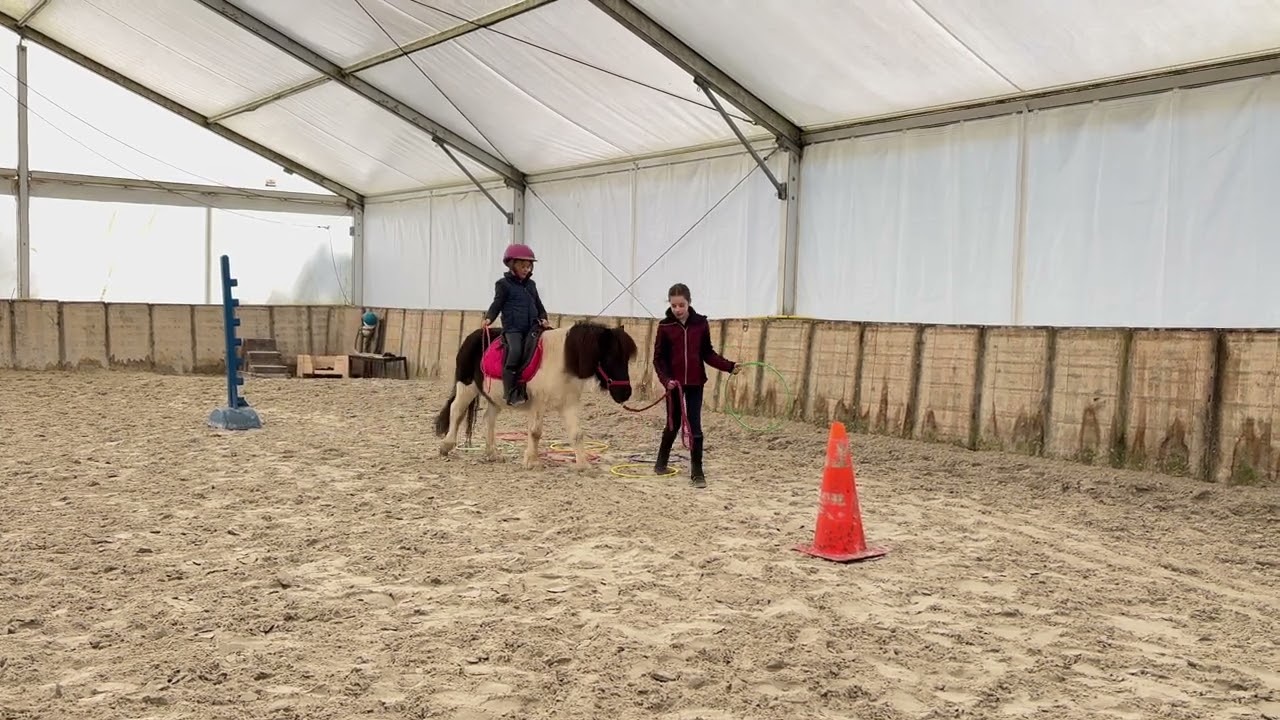 Exercice 4