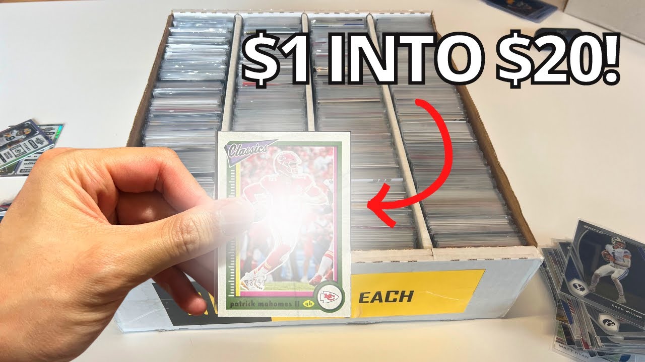 MY BEST DAY HUNTING THROUGH THE $1 BARGAIN BOXES!