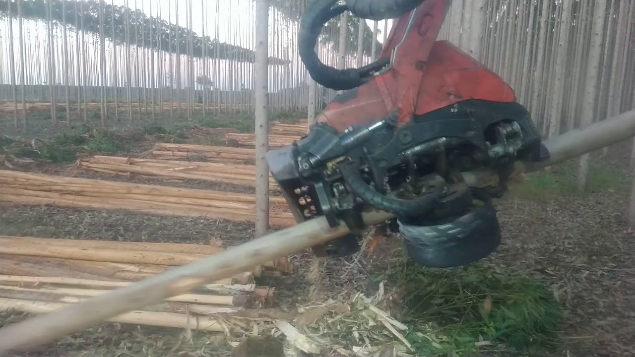 Operação Harvester dobra