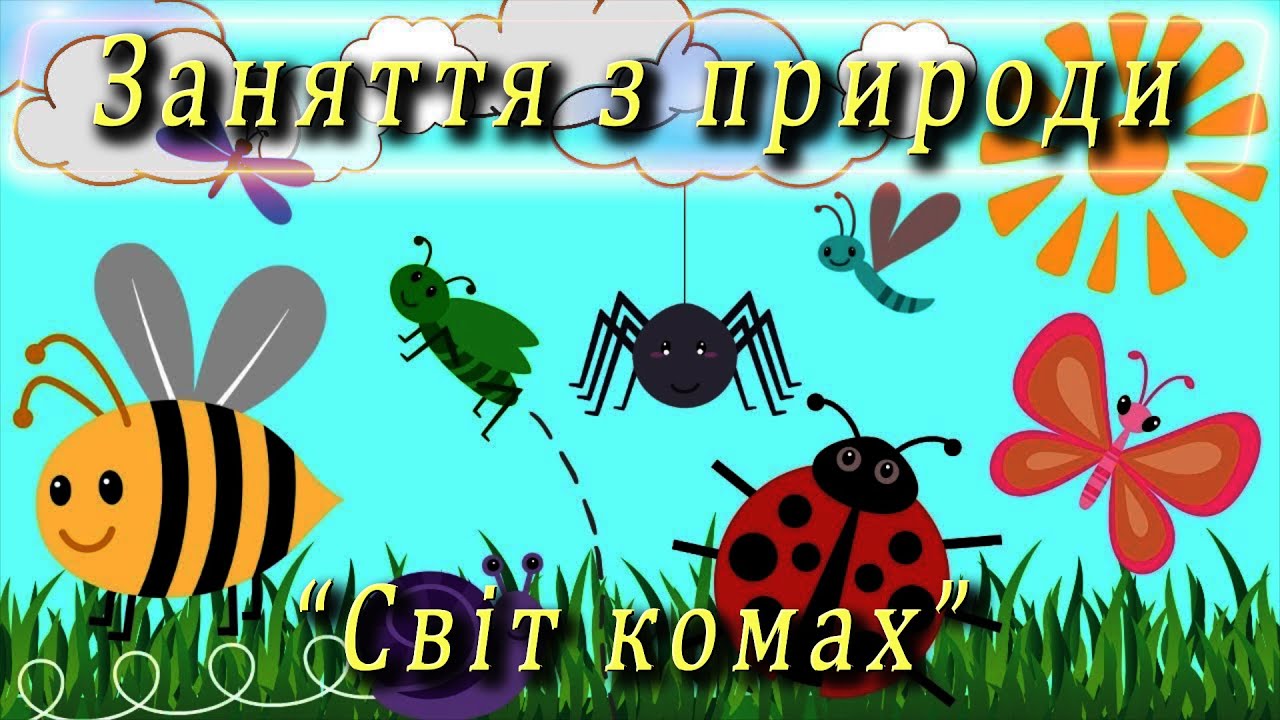 Заняття з природи - 