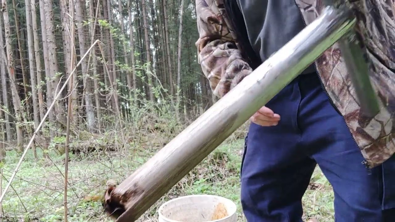 Подготовка к сезону охоты на кабана.