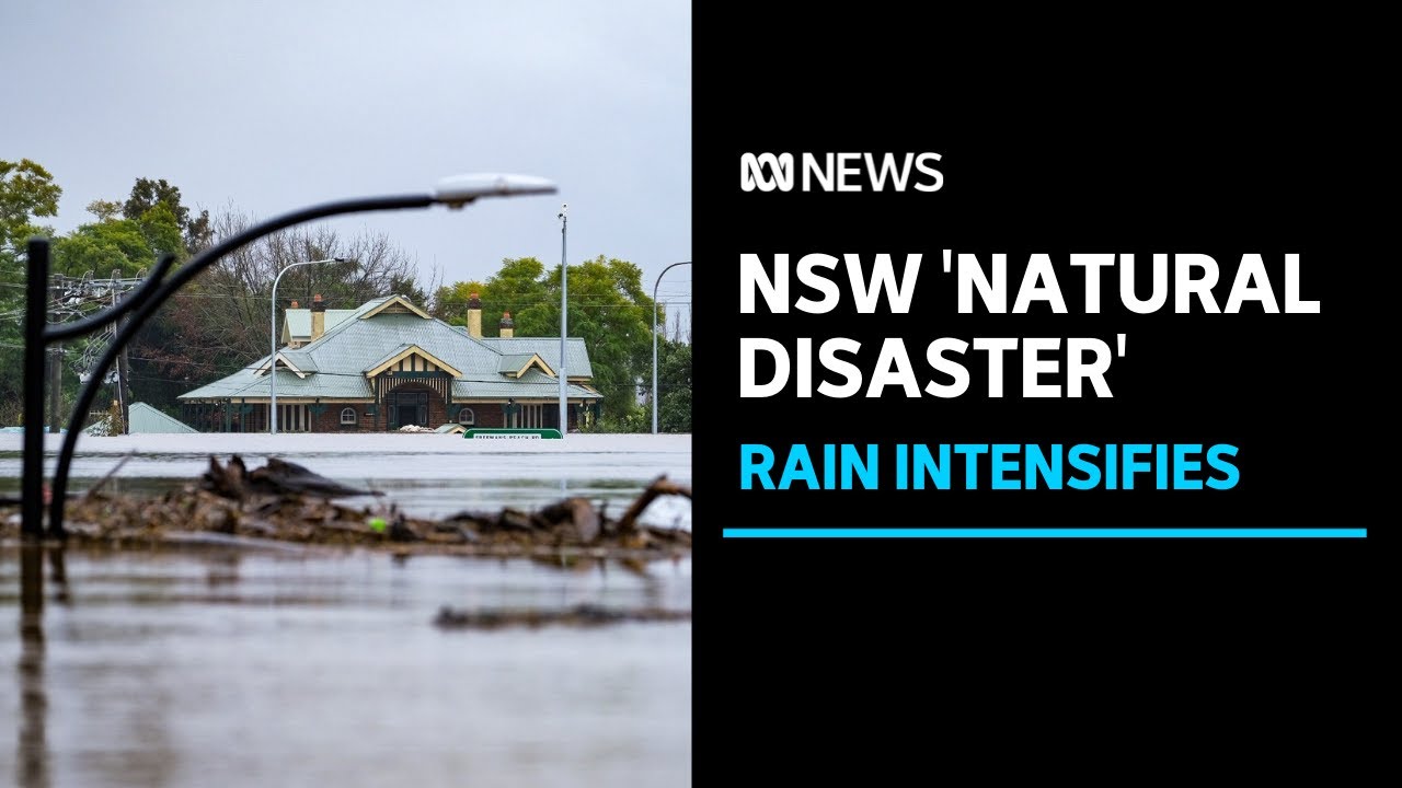 Relief for Sydney as heavy rain heads north, floods declared natural disaster | ABC News