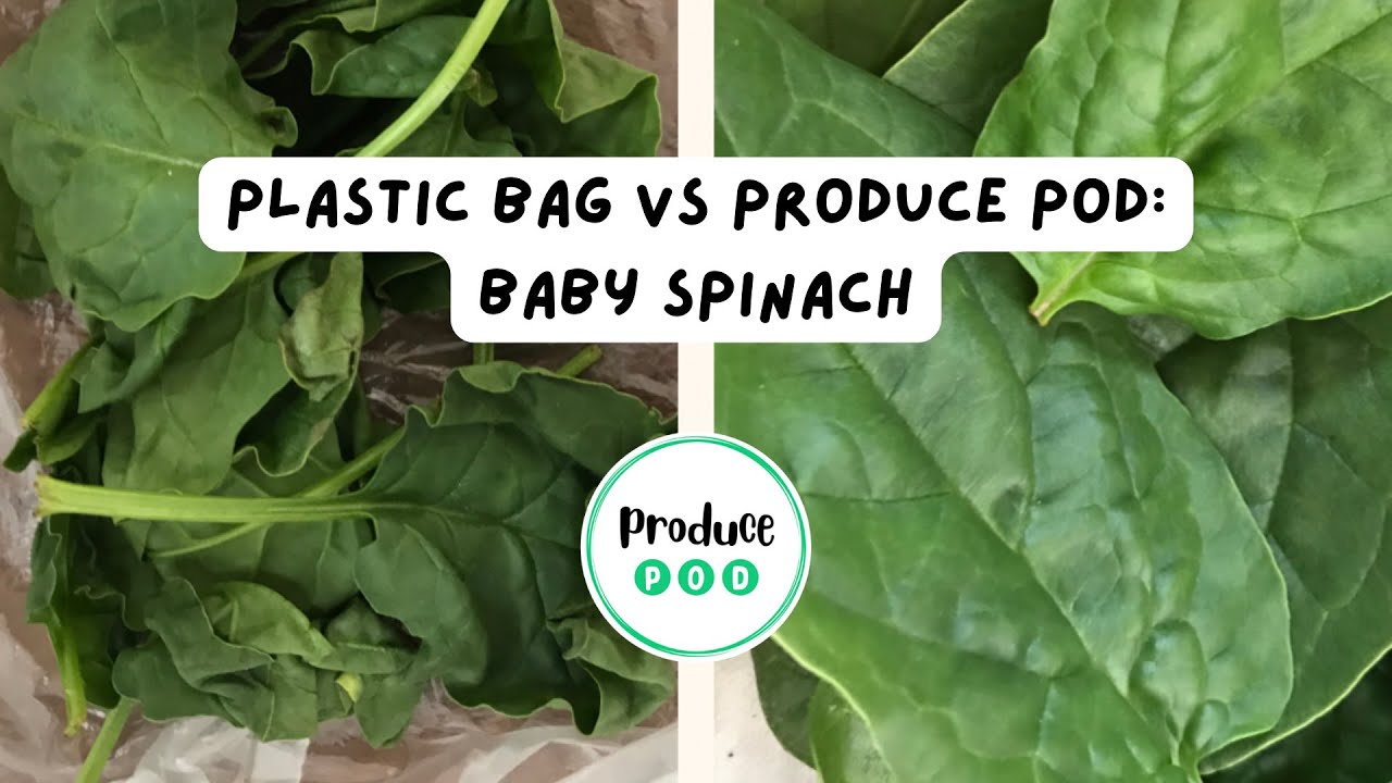 Keeping baby spinach fresh for longer! Plastic Bag vs Produce Pod