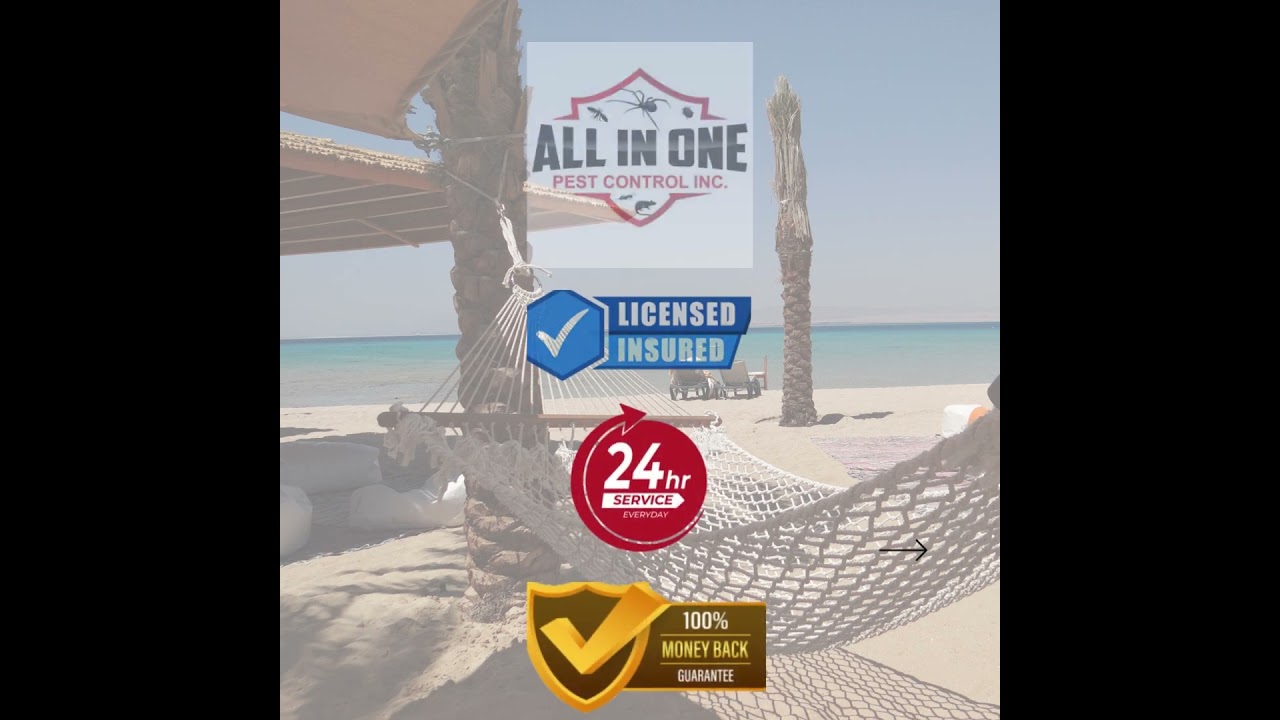 All In One Pest Control Toronto