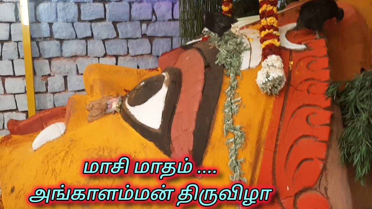 மாசி மாதம்.... அங்காளம்மன் திருவிழா...salem  #mayanakolai #annamalaiyar #melmalaiyanurangalamman 