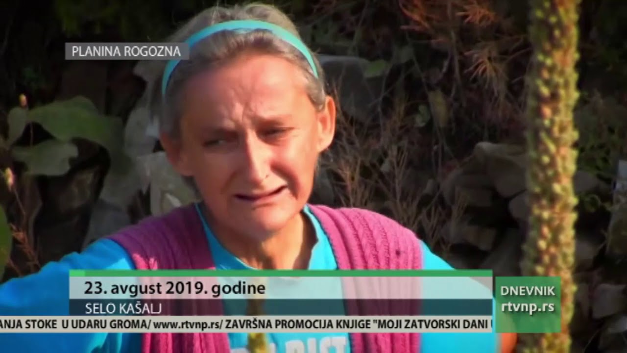 Vukica dobila i treću kravu i tele