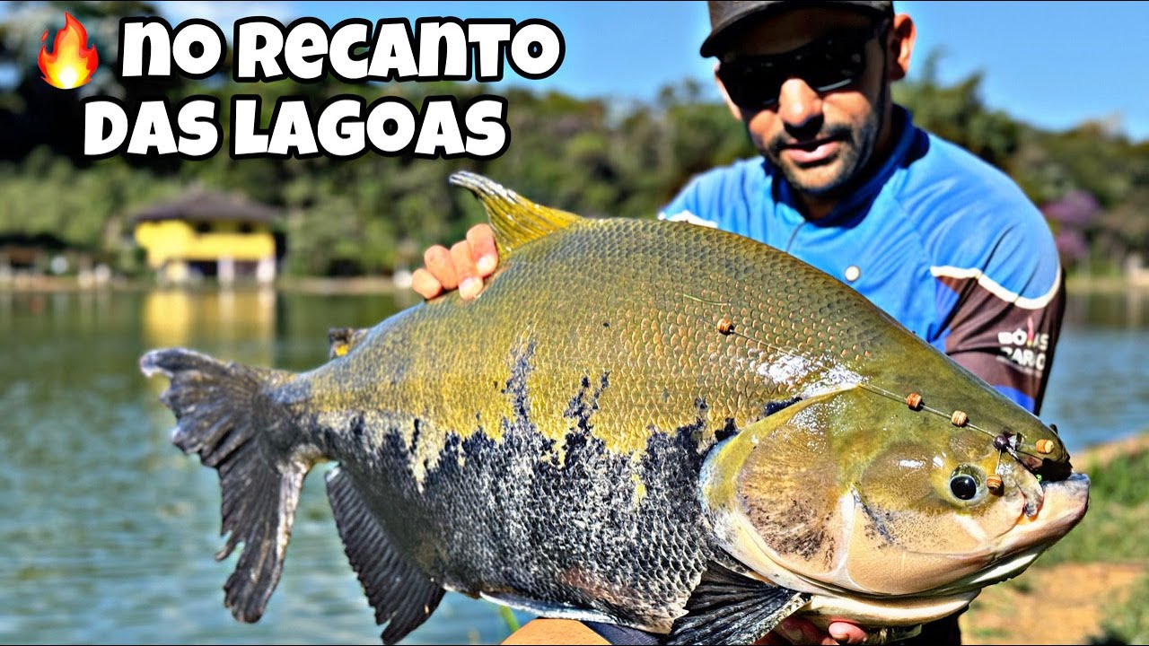 RECANTO DAS LAGOAS - ação garantida!