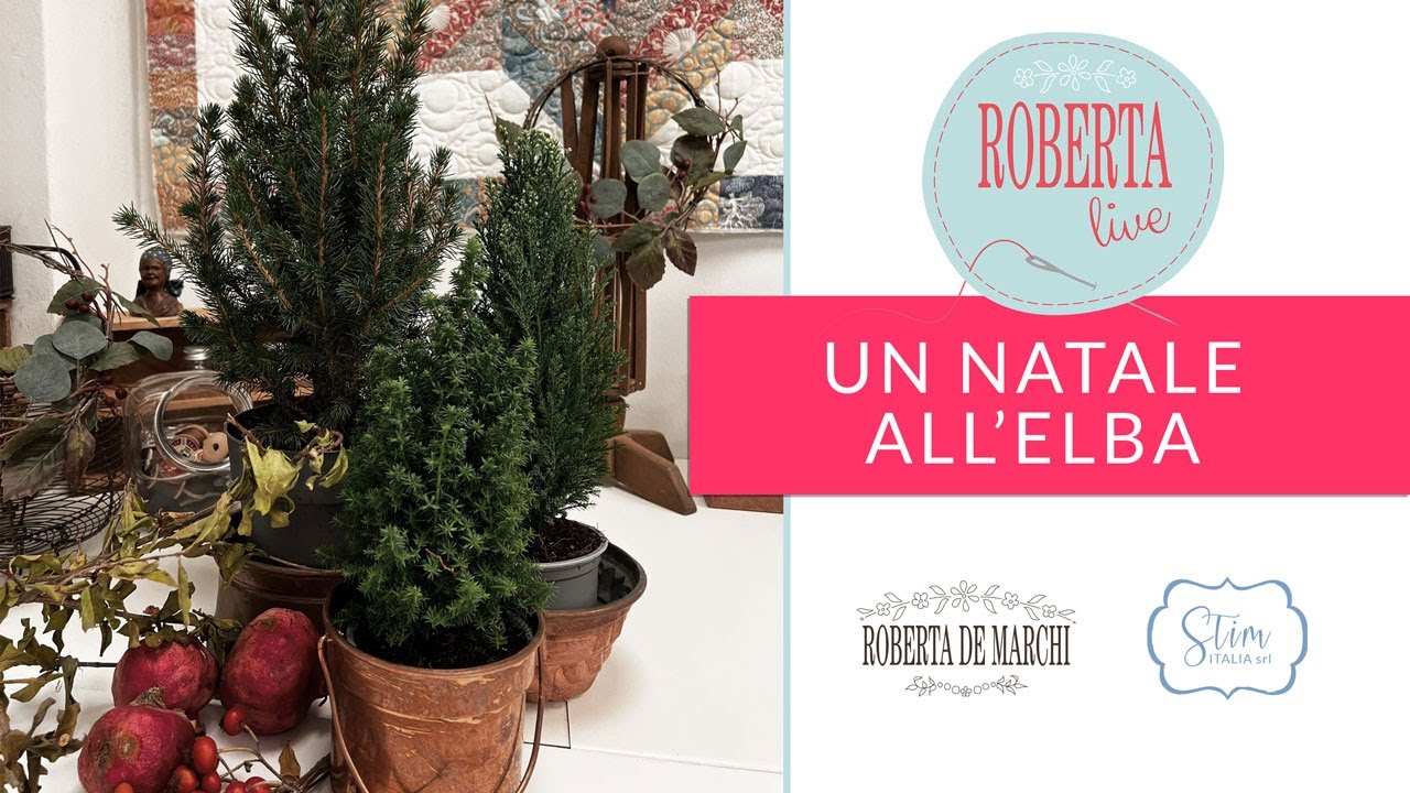 Un Natale all'Elba - Roberta Live