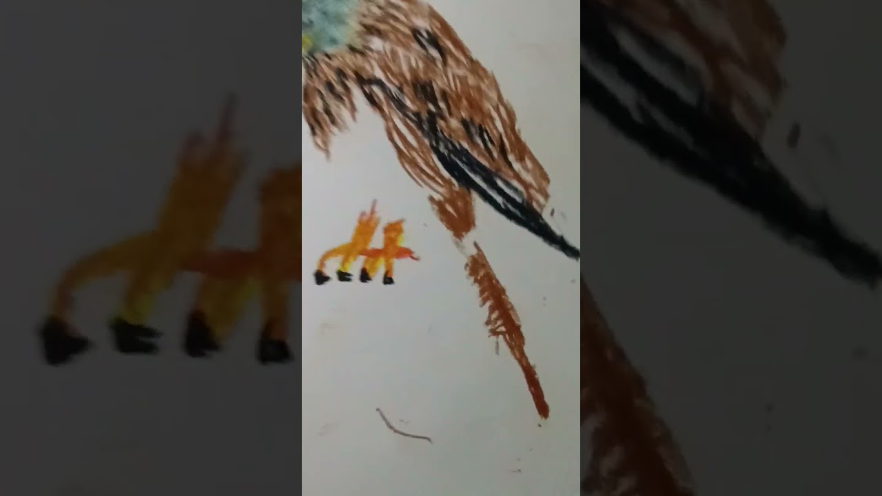 Rotmilan in wenigen Minuten gemalt in knapp 18 Minuten 03.02.2026