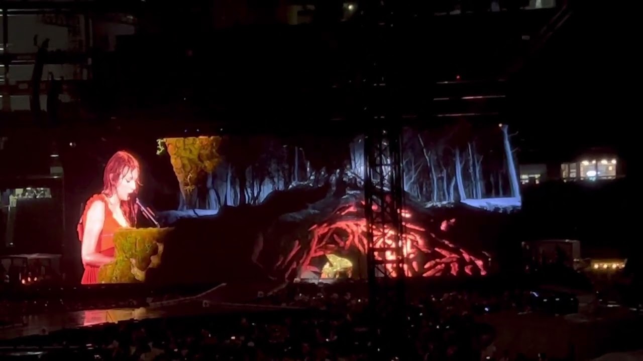 Taylor Swift talking to crowd about rain show at Gillette Stadium 05/20 Night 2 Eras Tour
