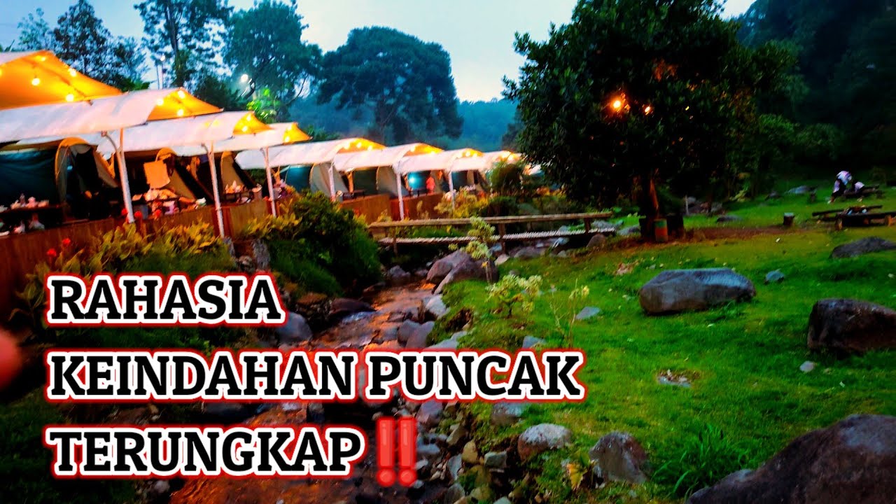 Kebun Teh & Riverside Camp Gunung Mas Puncak Bogor