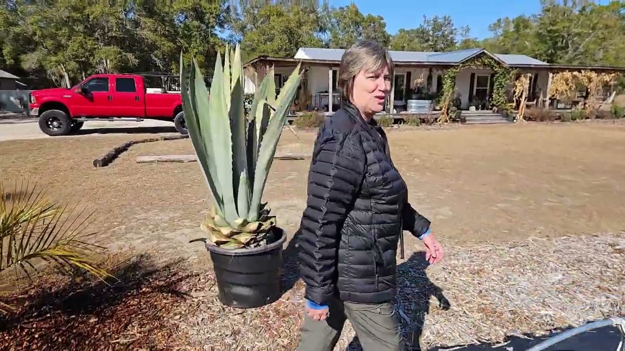 Harvest Host: Growing back to Eden Crystal River Florida