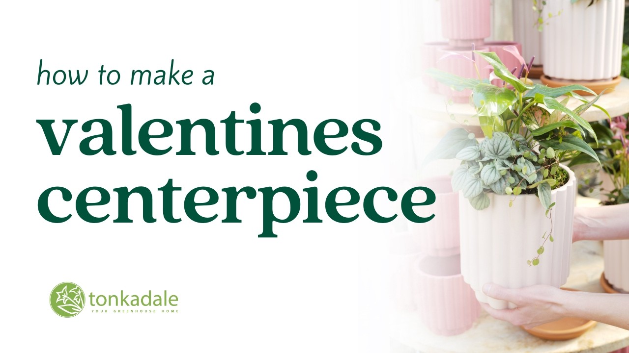 How to Make a Valentines Centerpiece
