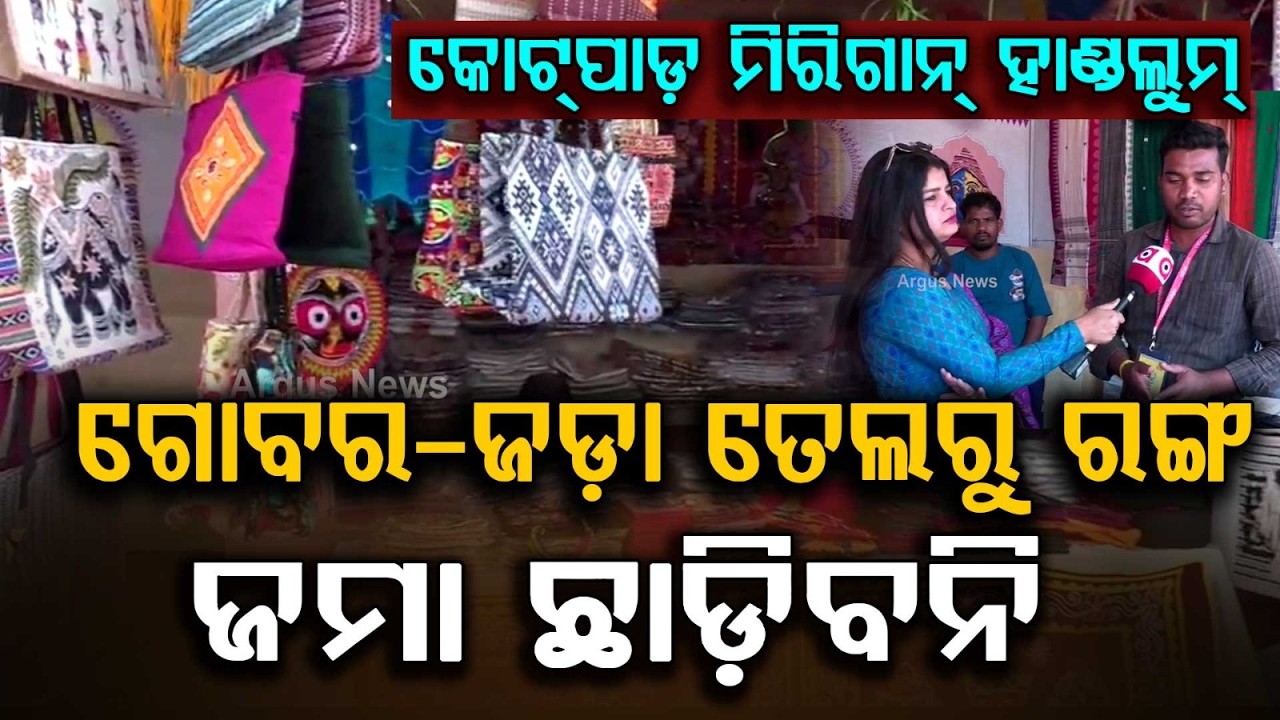 କୋଟପାଡ଼ ମିରିଗାନ୍ ହାଣ୍ଡଲୁମ୍ | ନାଚୁରାଲ ରଙ୍ଗର ରହସ୍ୟ | କୋରାପୁଟର ଗର୍ବ | Kotpad Handloom Saree | Argus News